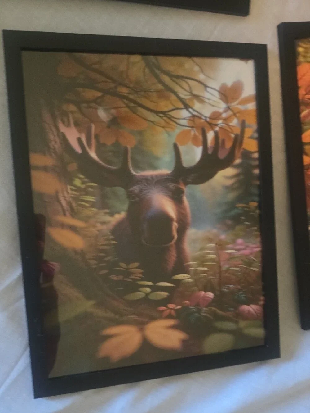 Woodland Forest Animal Wall Art Set Framed Prints